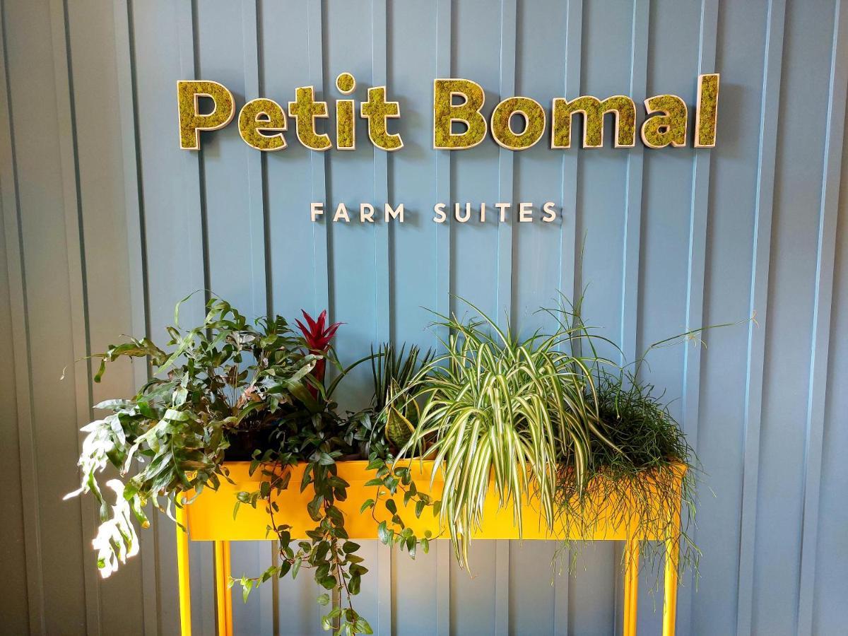 Les Suites De Petit Bomal 杜柏 外观 照片